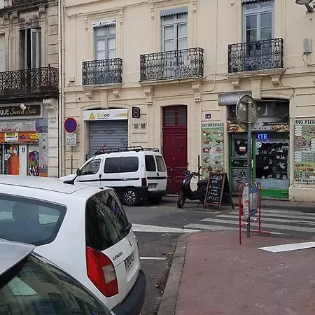 Grande Au Coeur De Montpellier